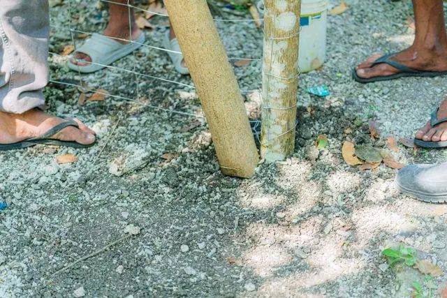 Setting posts in concrete