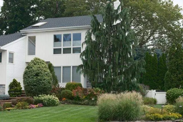 Cleaned-up beds and shaped shrubs
