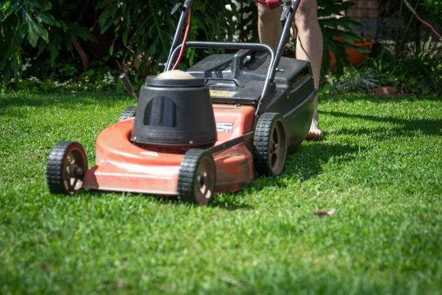 Weekly mowing in Spring Hill